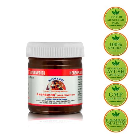 Dr. Vaidya's Herboplast Lep Pack Of 2 (100 Gms Paste) (pain Balm)